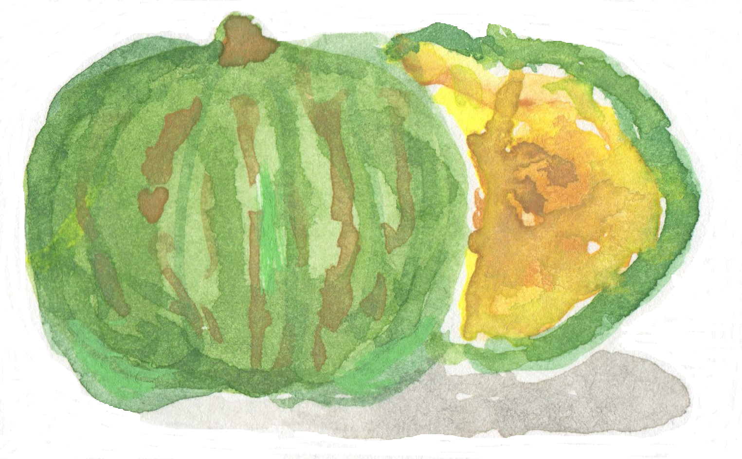 カボチャの水彩画２ 野菜の手書き無料素材イラスト画像集