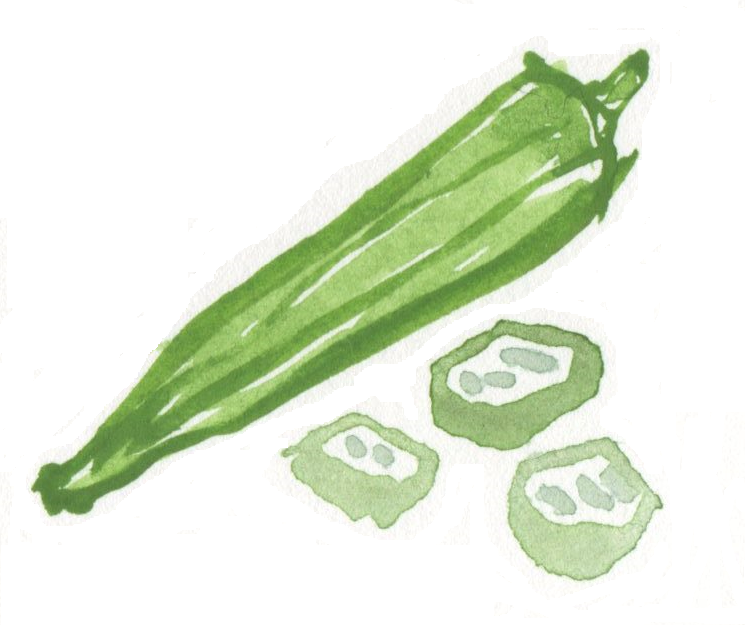 オクラのイラスト 水彩画２ 野菜の手書き無料素材イラスト画像集