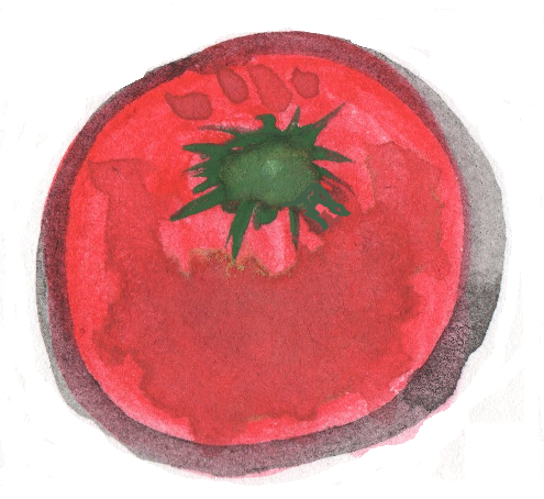 トマトの水彩画イラスト 野菜の手書き無料素材イラスト画像集